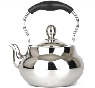 Tea Kettle Water Kettle Stove Top Stainless Steel Whistling Tea Kettle 2L Hot Water Fast to Boil with Handle for Boiling Water Coffee Milk Teapot